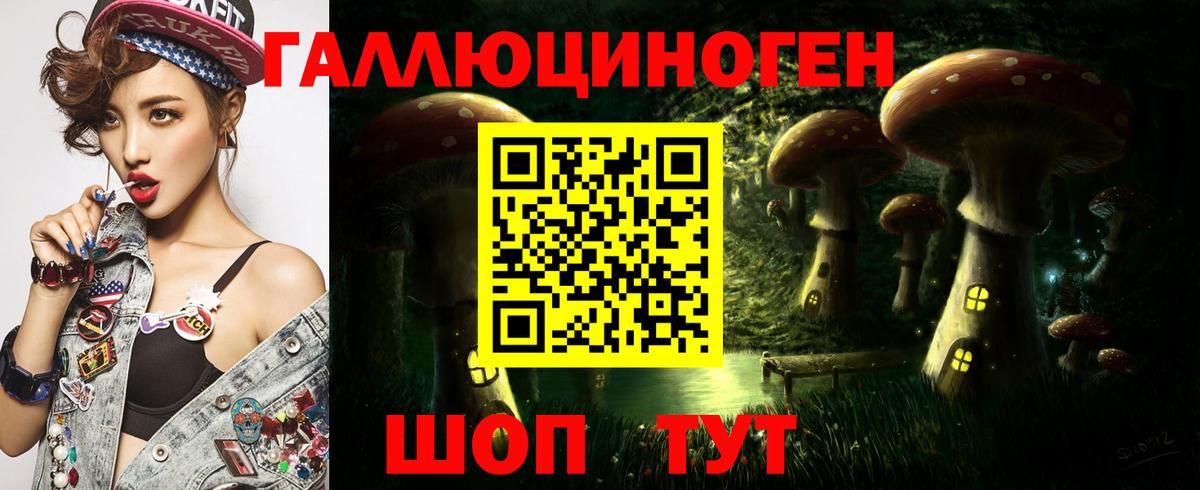 Бузулук  Псилоцибиновые грибы Cubensis  Вход с VPN 
